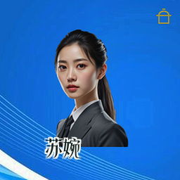 苏婉