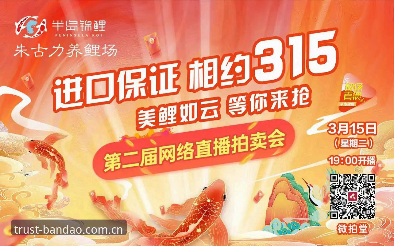 半岛体育赛事直播评测 直播平台怎么选?半岛体育赛事直播评测 vs 传统平台全面对比